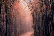 德甲-李在成梅开二度 多特后防集体梦游0-3美因茨.