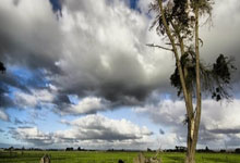 爱游戏体育官网：花样滑冰——世锦赛：任俊霏／邢珈宁无缘晋级冰舞自由舞.