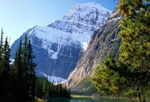 24球17助攻！B费成欧联历史制造进球最多的球员.