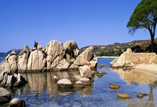 老基耶萨：小基耶萨在利物浦很开心，没机会就坚持训练等待机会.